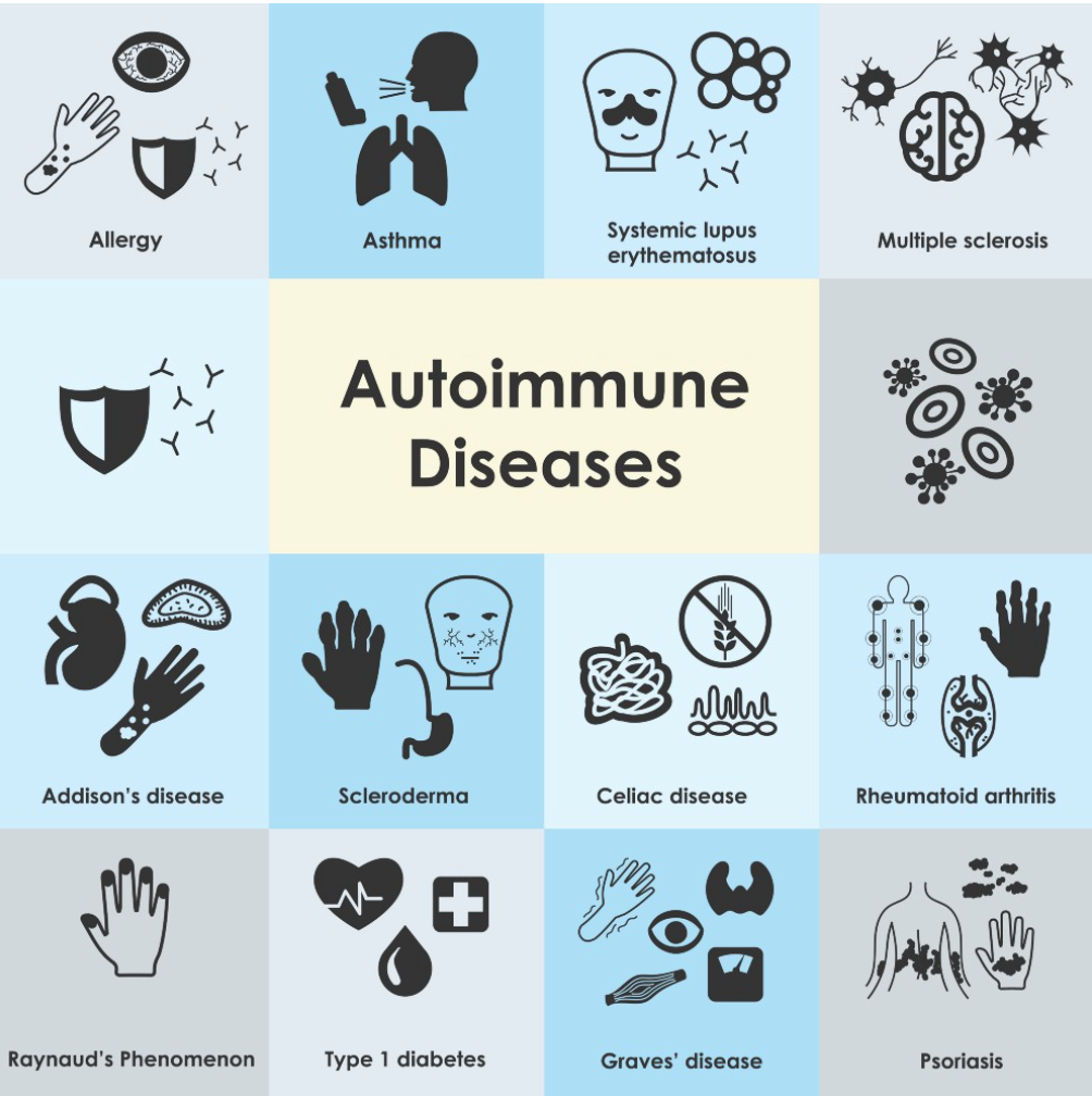 Autoimmunity Explained A Case in Autoimmunity – A Muggle's Laboratory